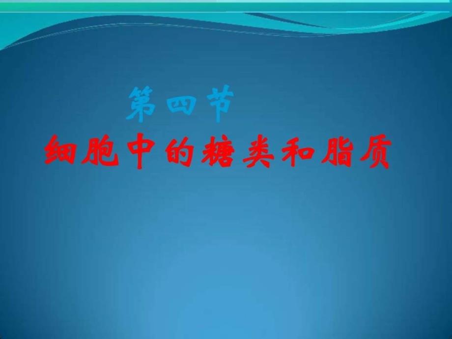 高三复习高一生物必修1细胞中的糖类和脂质_第2页