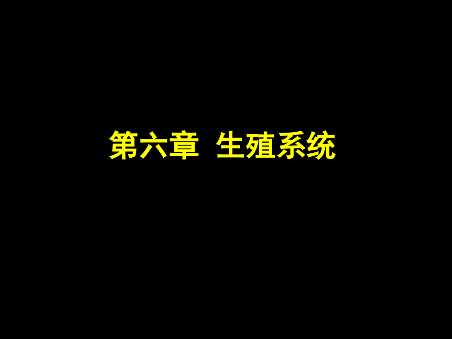 培训资料-第六章：生殖系统_第1页