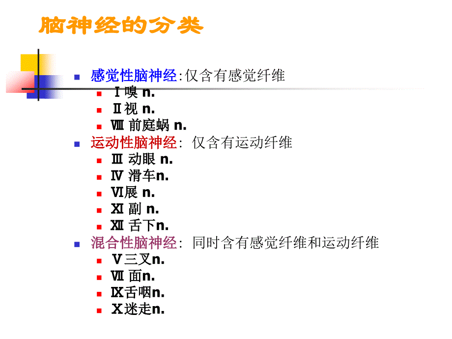 颅神经的解剖和临床_第4页