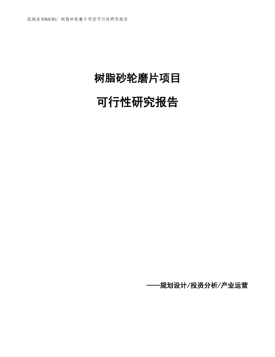 树脂砂轮磨片项目可行性研究报告_第1页