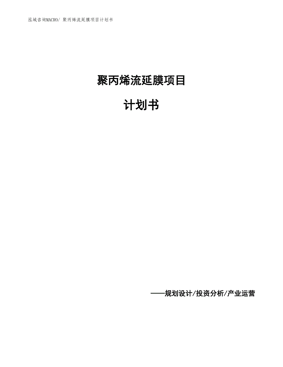 聚丙烯流延膜项目计划书_第1页