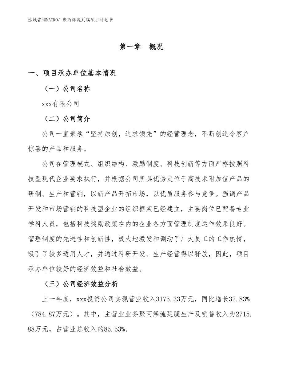 聚丙烯流延膜项目计划书_第5页