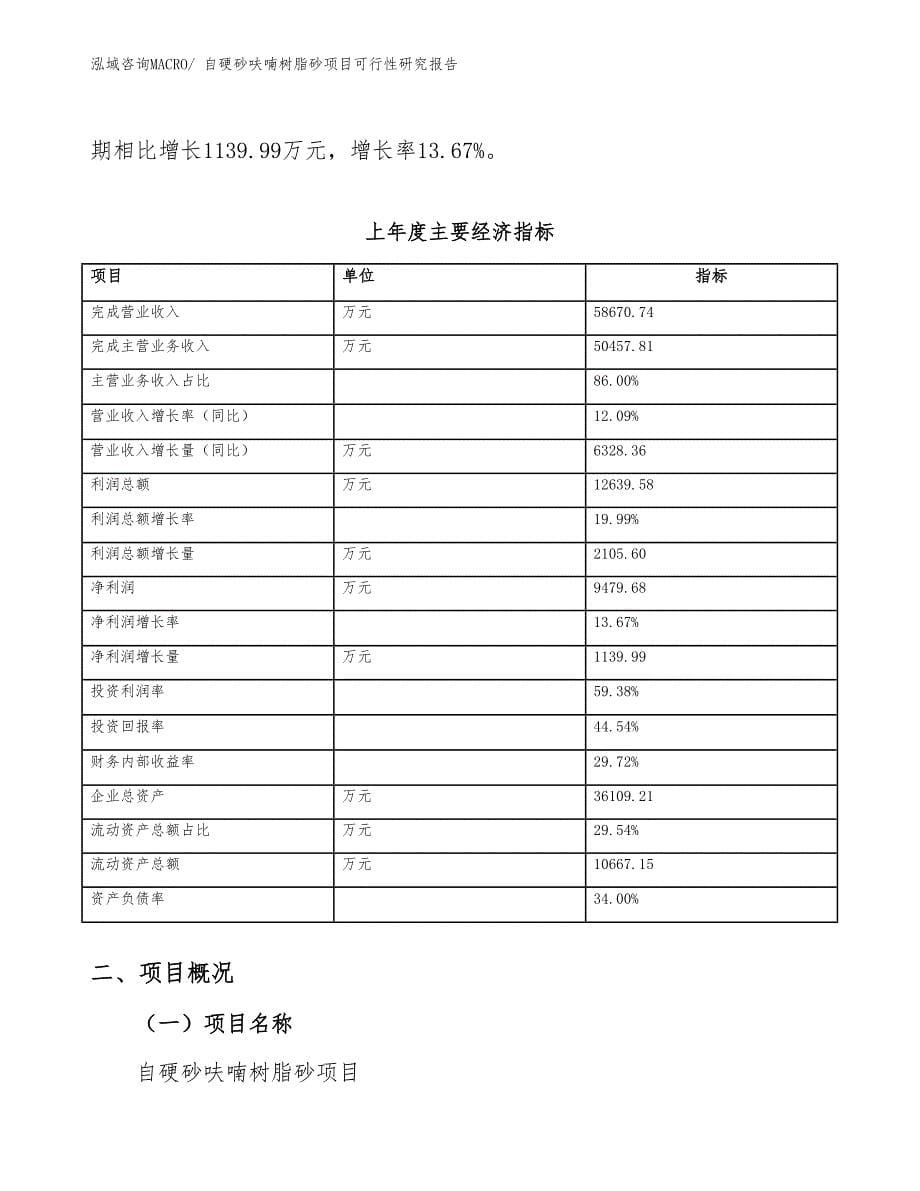 自硬砂呋喃树脂砂项目可行性研究报告_第5页