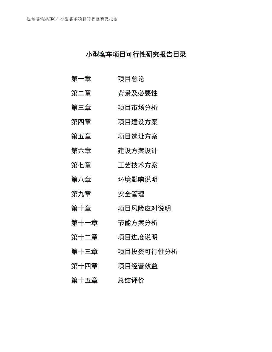 小型客车项目可行性研究报告_第3页