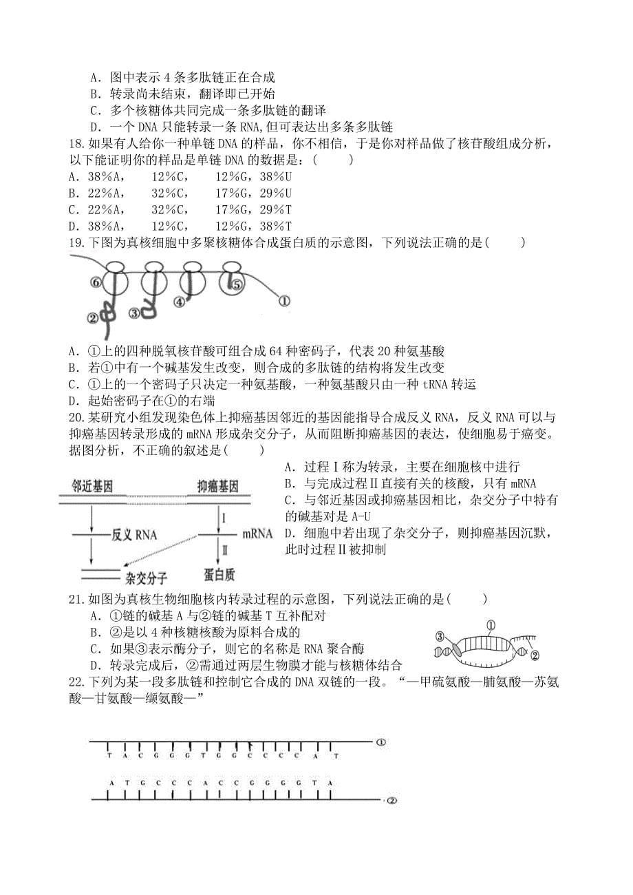 福建省龙海市第二中学2019届高三上学期第二次月考试题 生物---精校Word版含答案_第5页