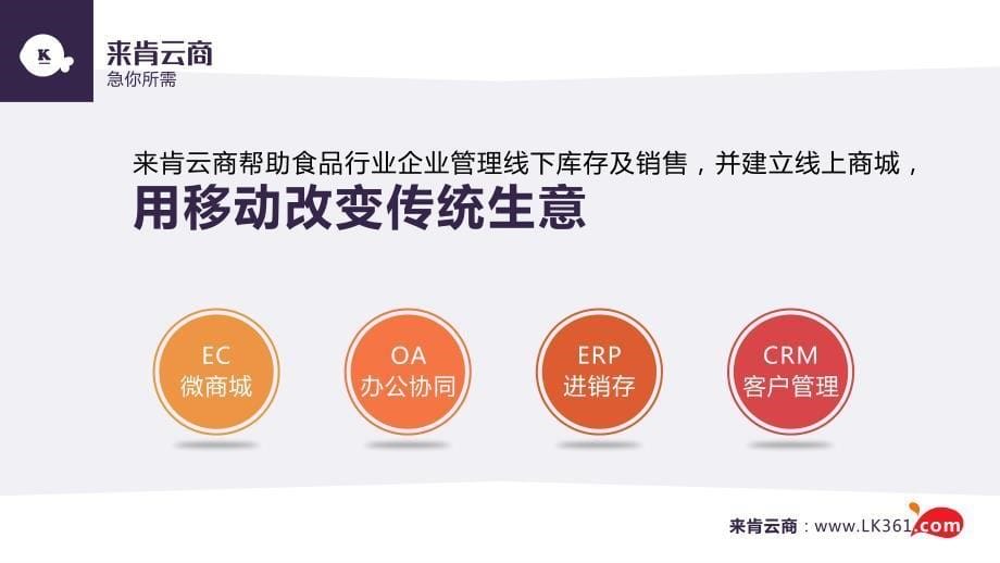 食品行业经验管理解决方案_第5页