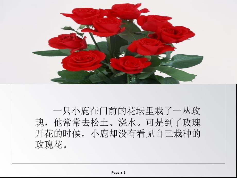 小鹿的玫瑰花教学_第3页