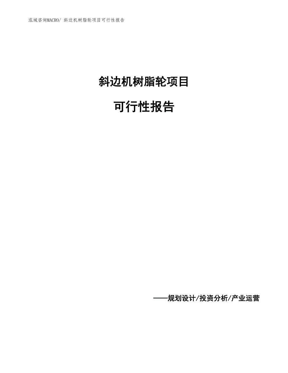 斜边机树脂轮项目可行性报告_第1页