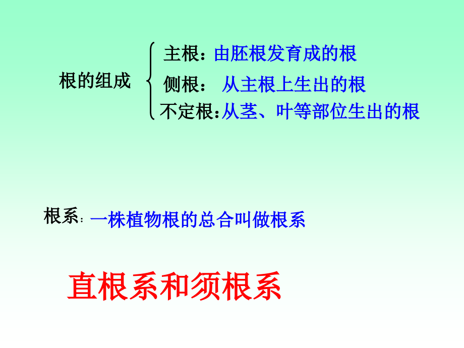jiangke总复习花的结构和类型使用_第3页