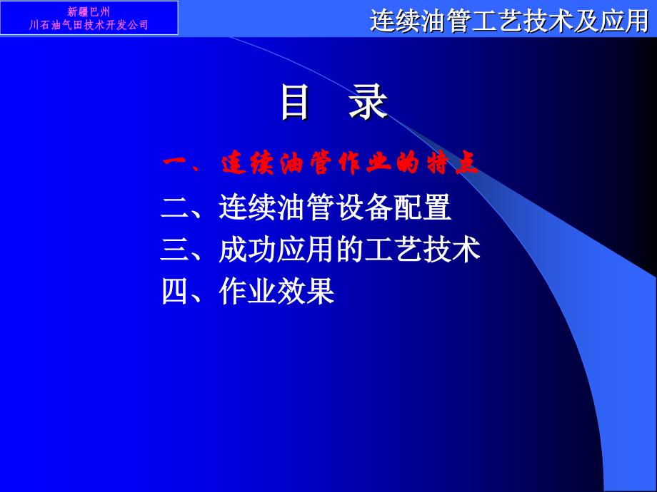 连续油管工艺技术及应用_第4页