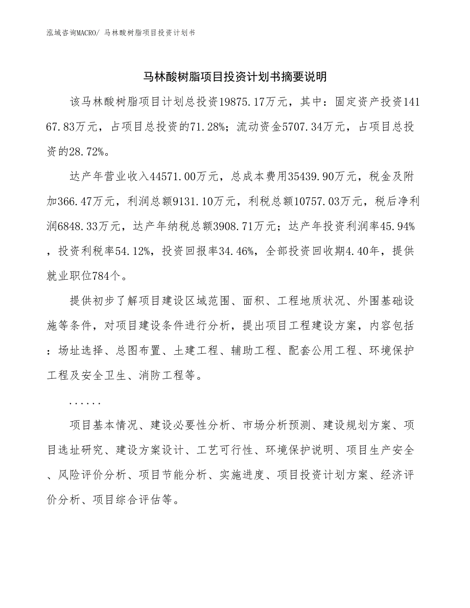 马林酸树脂项目投资计划书_第2页