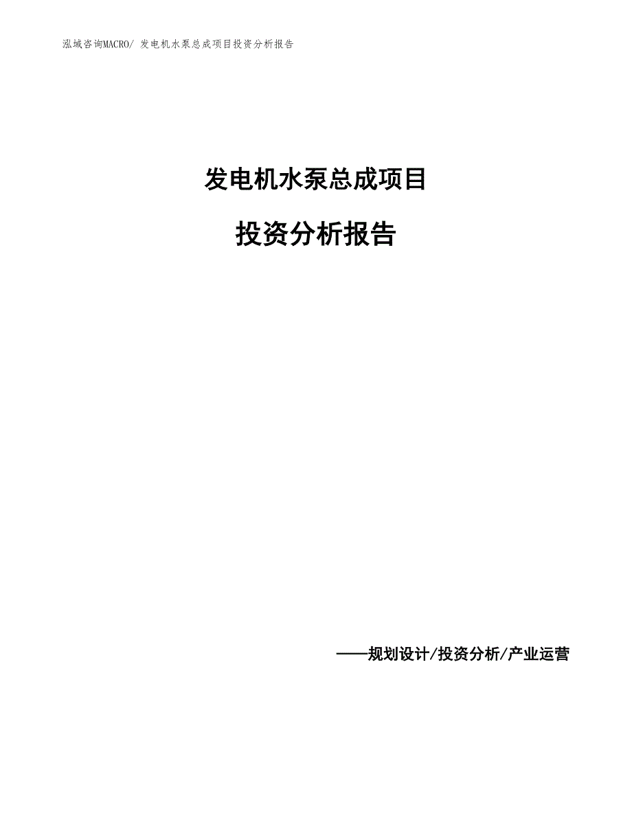 发电机水泵总成项目投资分析报告_第1页