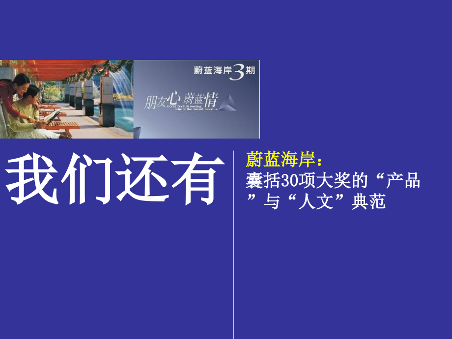 卓越蔚蓝海岸长沙项目营销传播策略_第3页