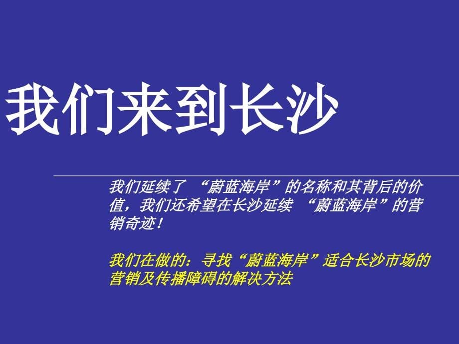 卓越蔚蓝海岸长沙项目营销传播策略_第5页