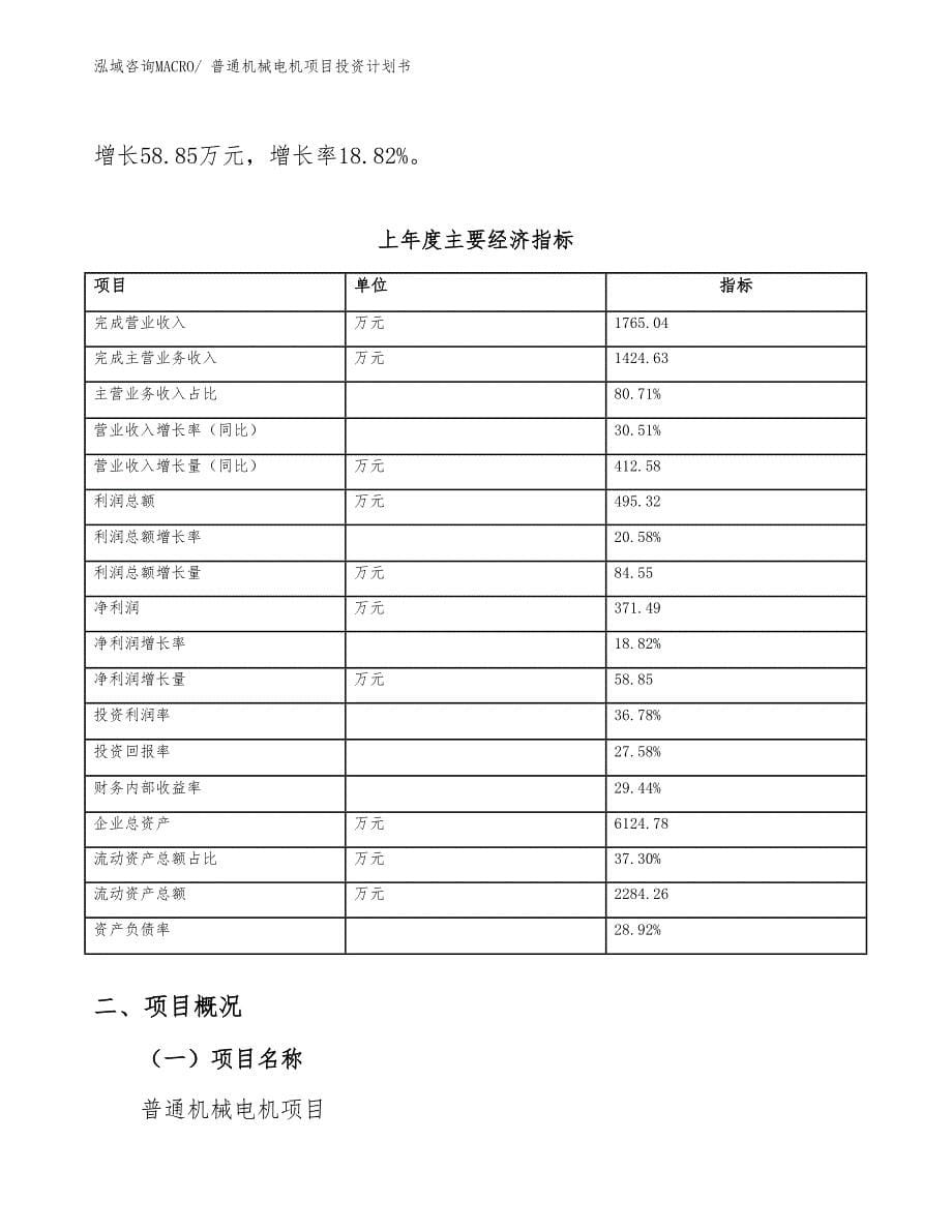 普通机械电机项目投资计划书_第5页