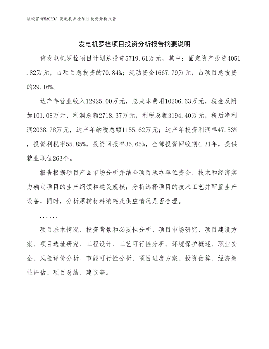 发电机罗栓项目投资分析报告_第2页