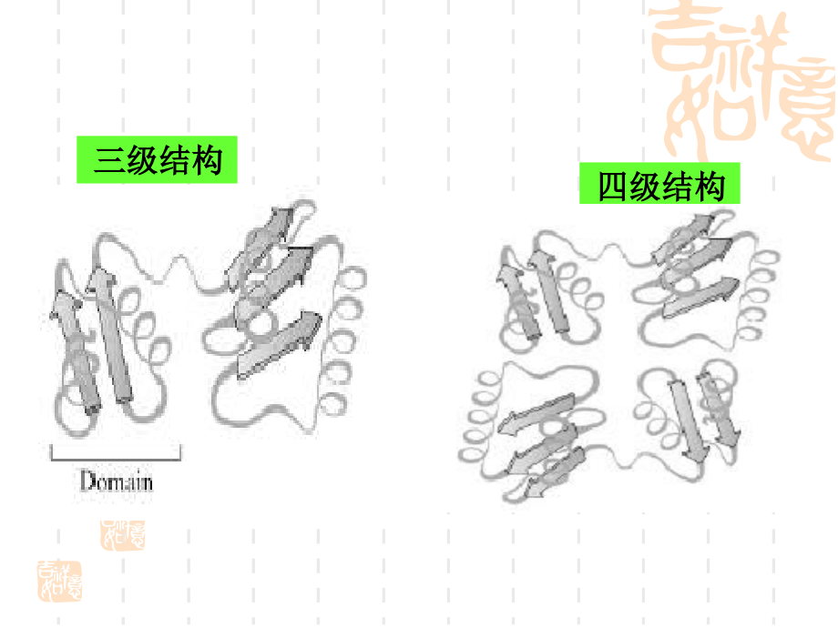 蛋白质的化学(二)_第3页