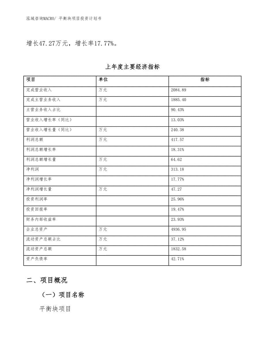 平衡块项目投资计划书_第5页