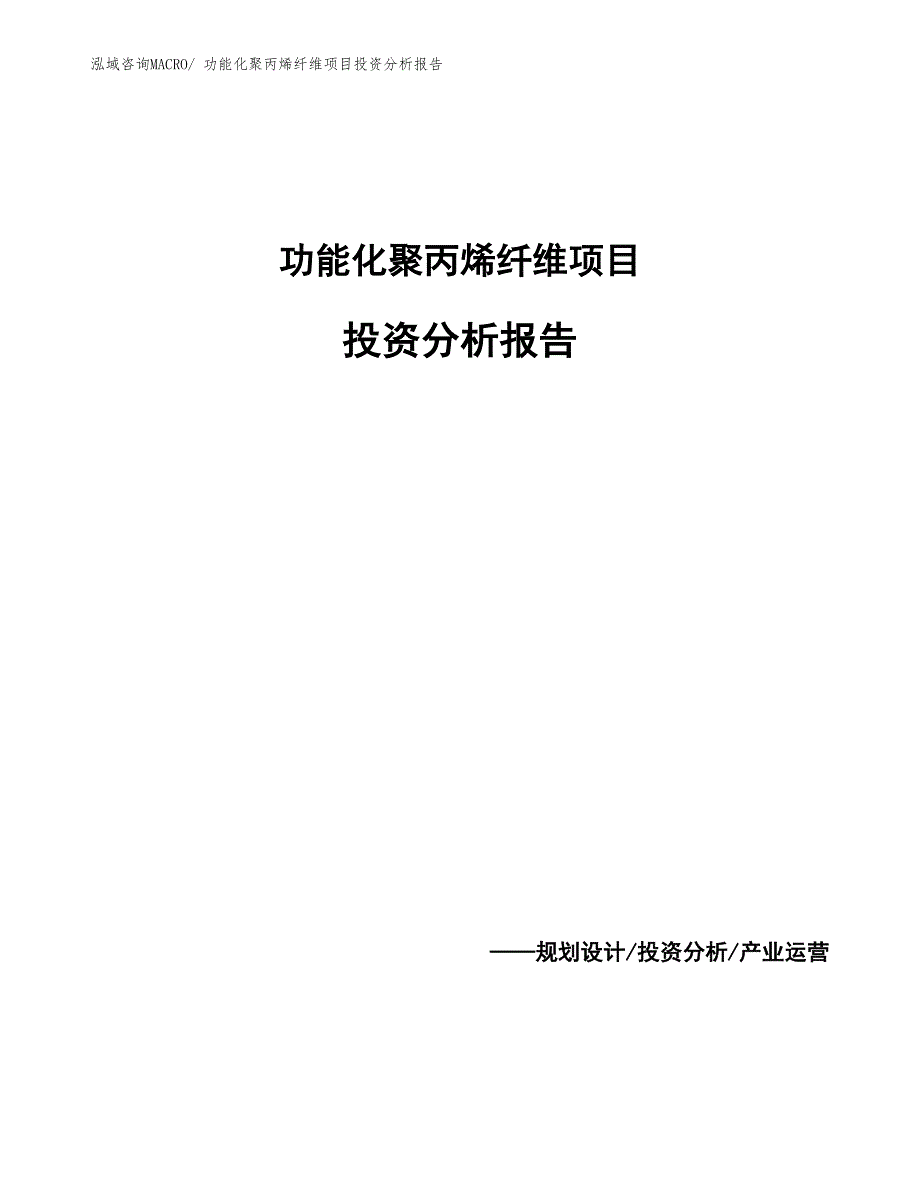 功能化聚丙烯纤维项目投资分析报告_第1页