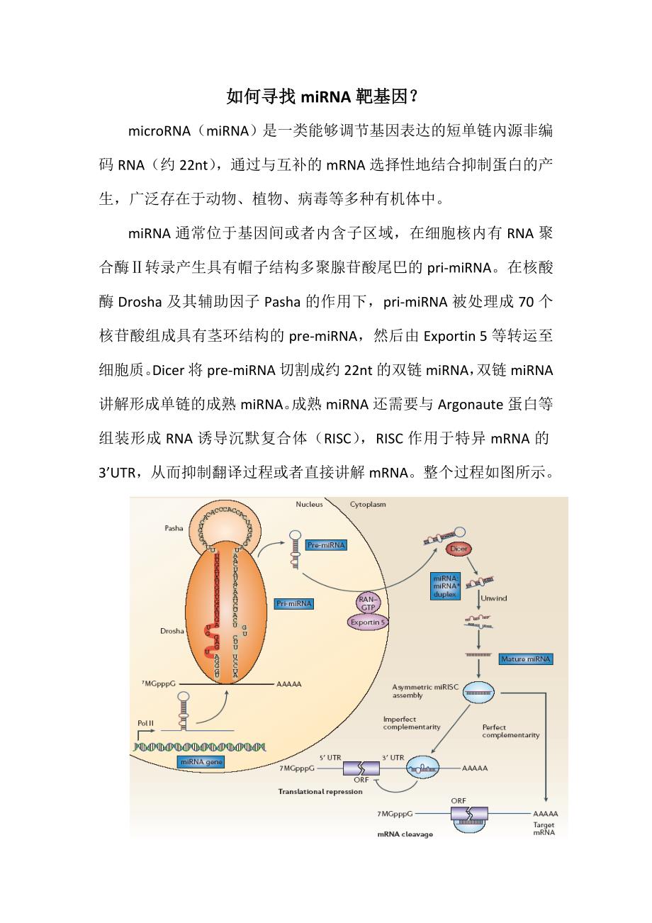 如何寻找mirna靶基因_第1页