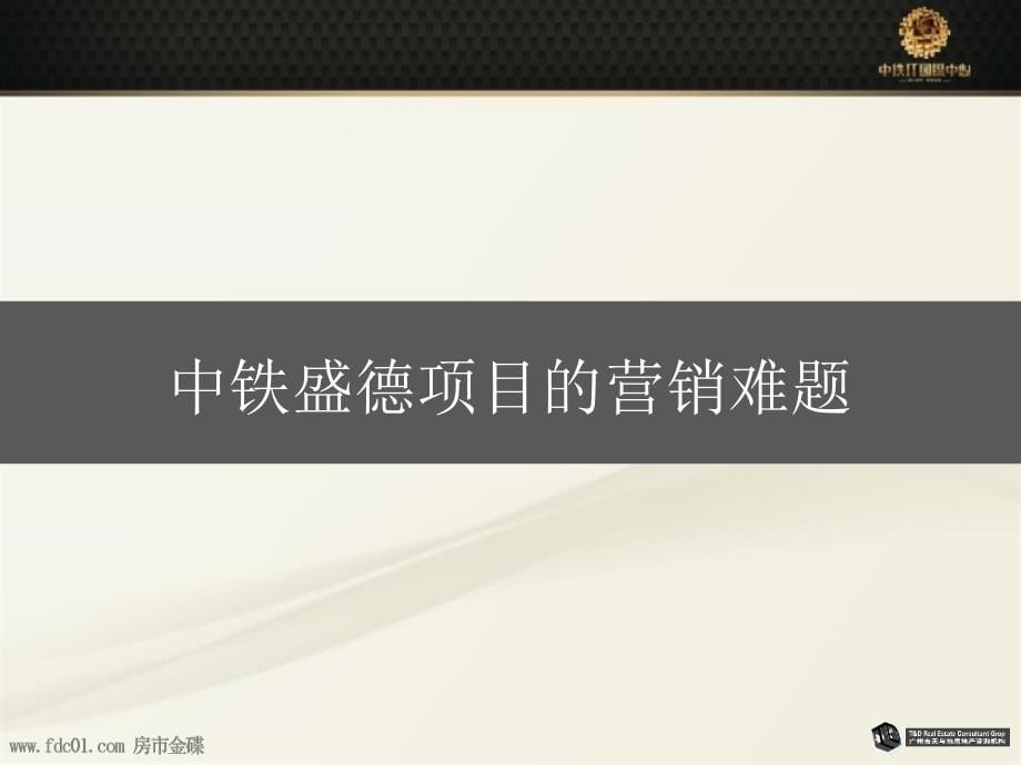 广州中铁盛德大厦营销策划方案(天与地)2010-241页_第5页