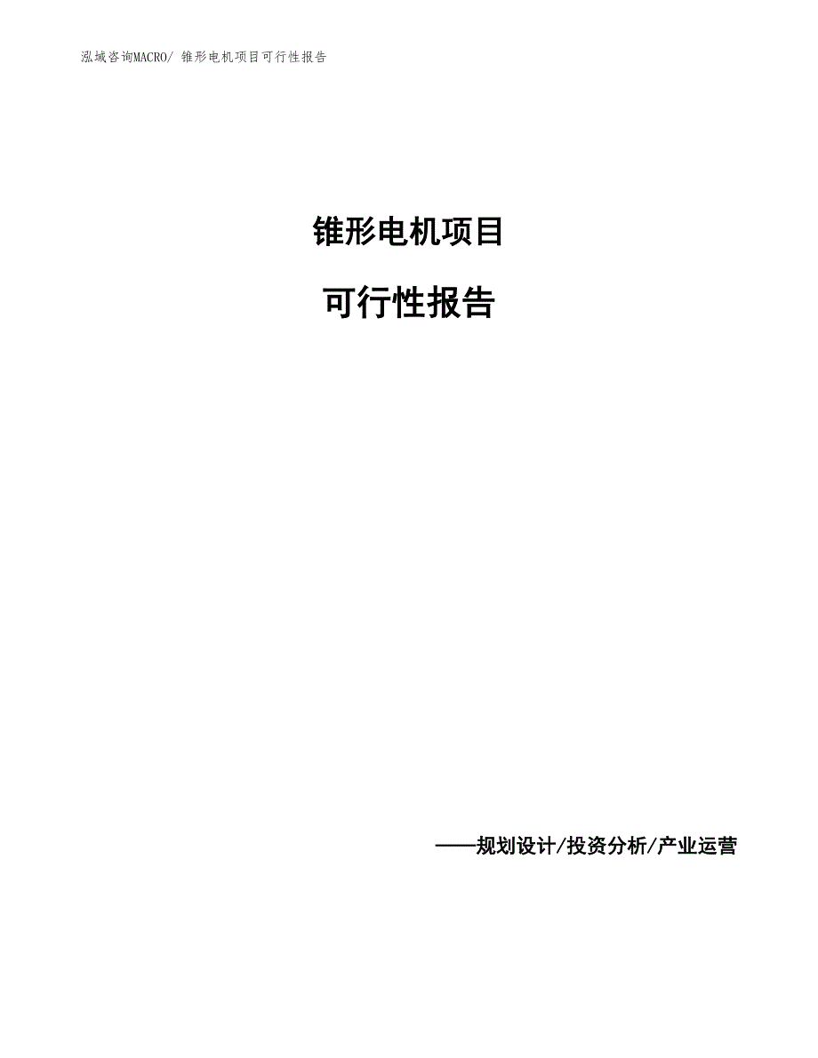 锥形电机项目可行性报告_第1页