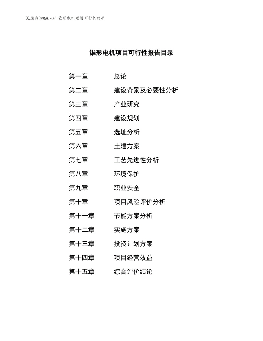 锥形电机项目可行性报告_第3页