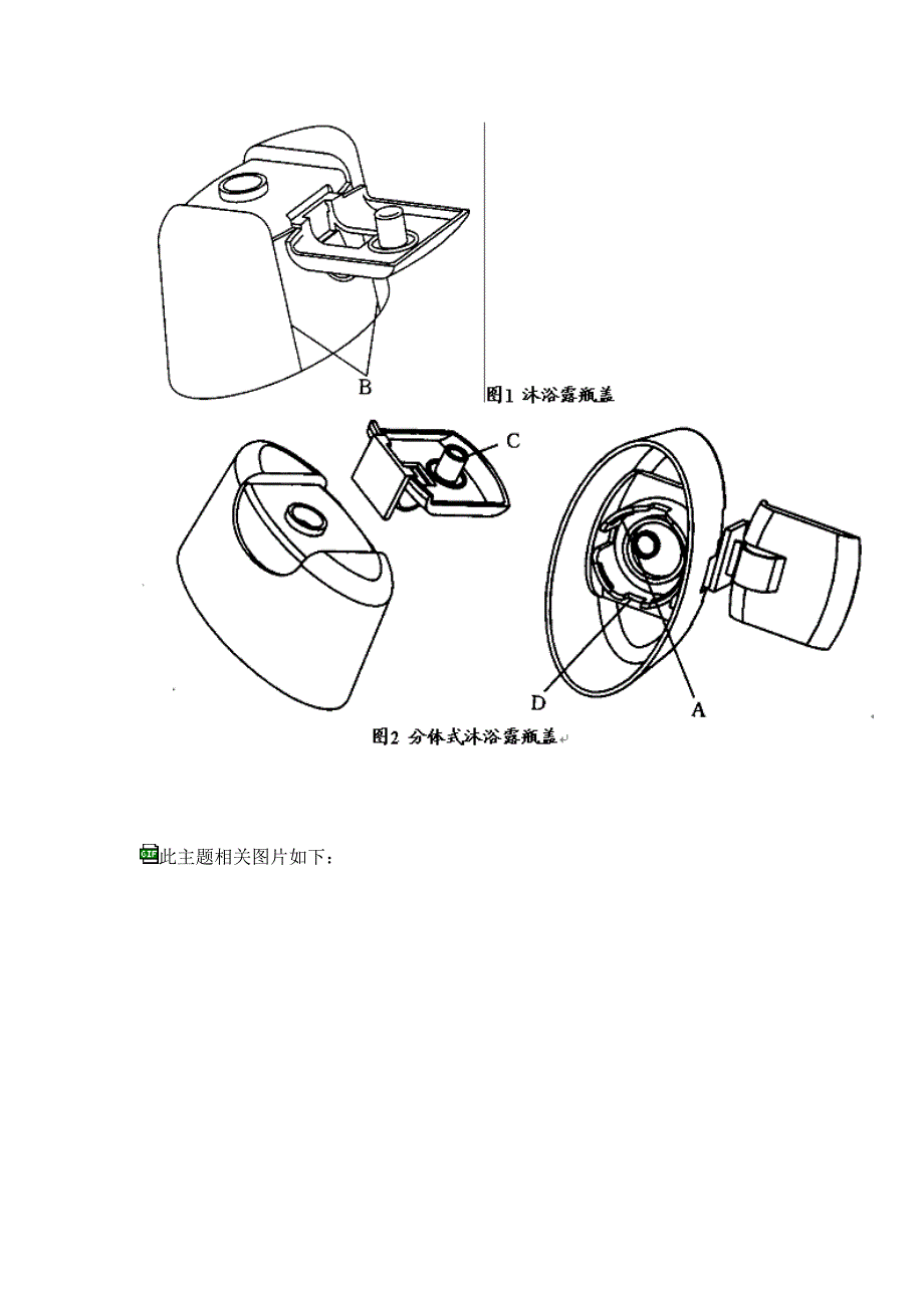 沐浴露瓶盖注射模设计 毕业设计_第2页