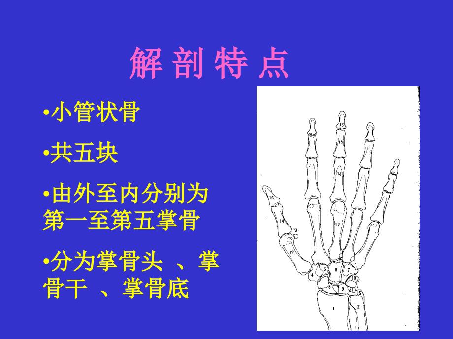 《掌骨骨折诊治》ppt课件_第2页