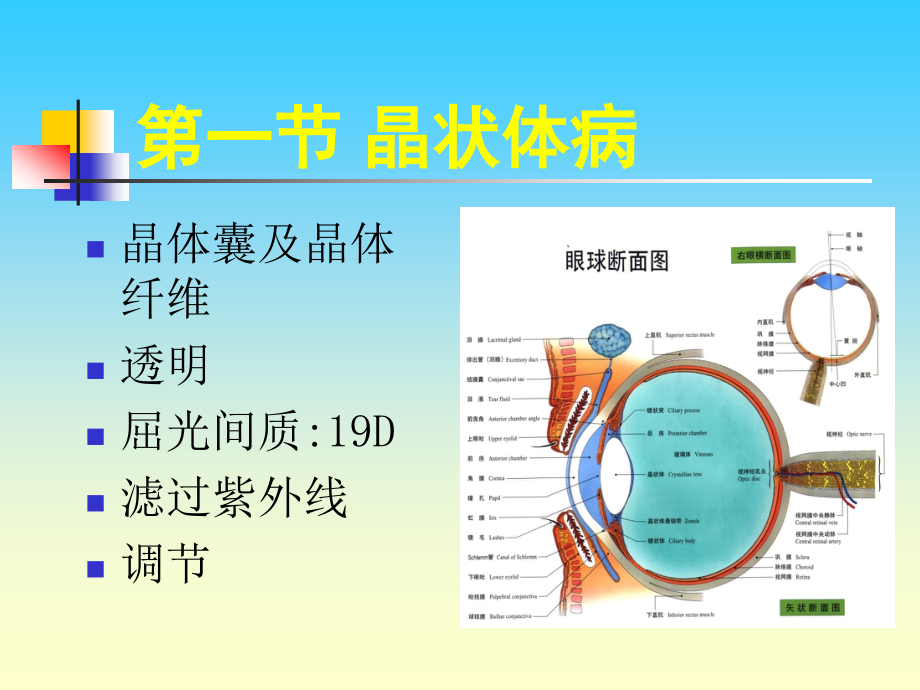 《晶状体玻璃体病》ppt课件_第2页