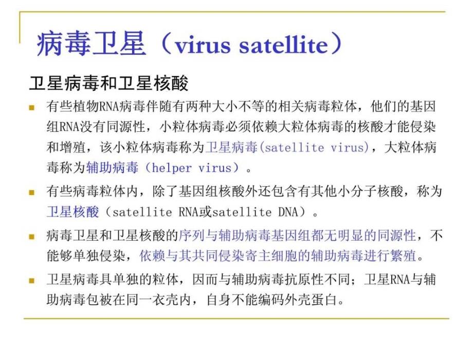 《植物病原病毒》ppt课件_第4页