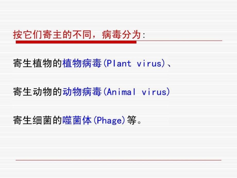 《植物病原病毒》ppt课件_第5页