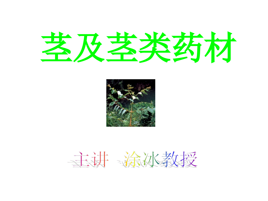 《药用植物课件》ppt课件_第2页