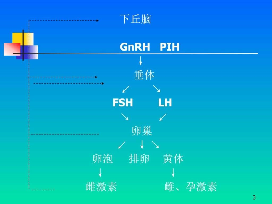 妇产科护理课件_功能失调性子宫出血_第3页