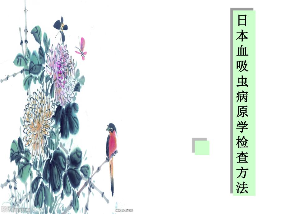 《血吸虫病原学检查》ppt课件_第1页