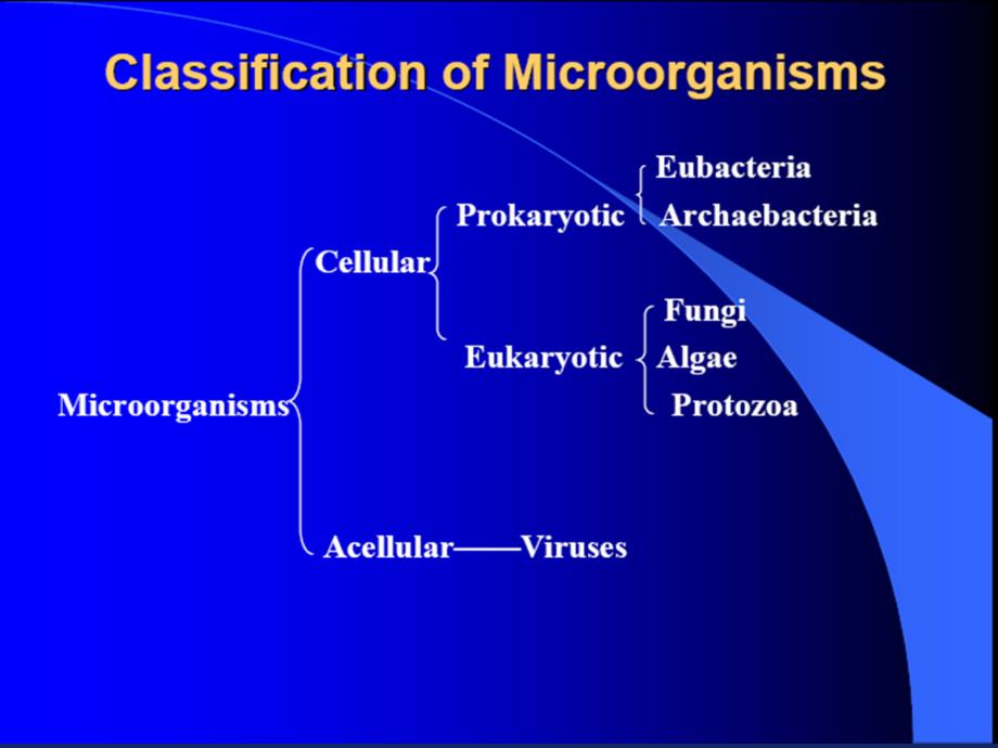 miocrobiology药学英语大二下_第3页