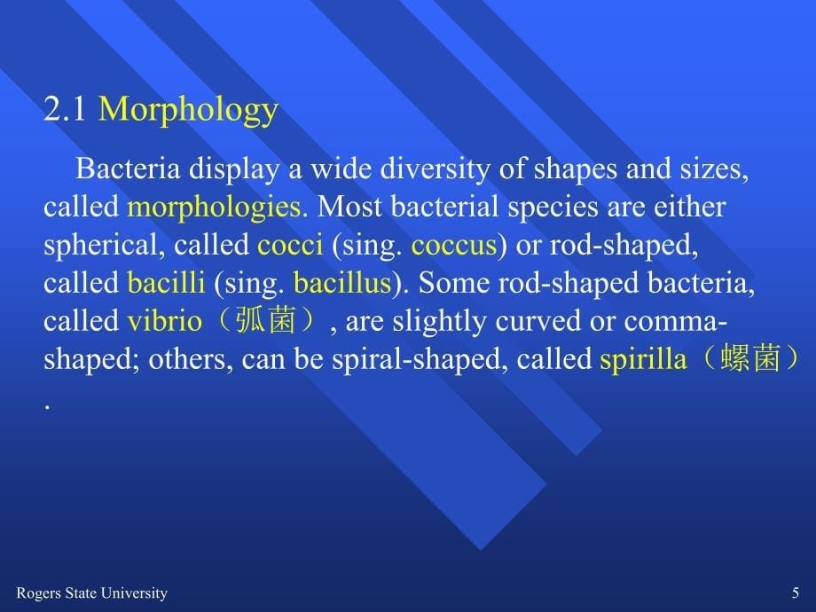 miocrobiology药学英语大二下_第5页