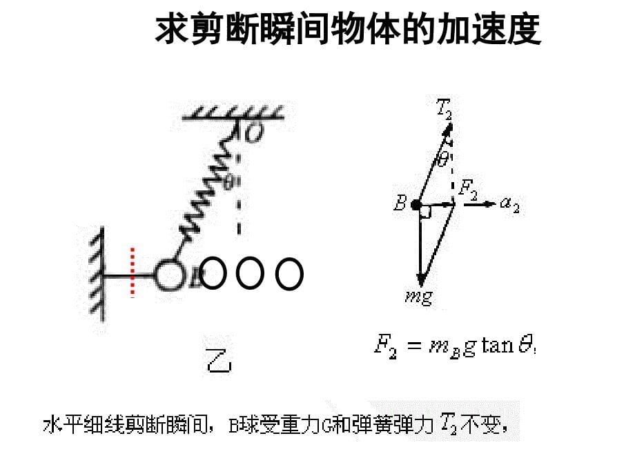 高一物理课件剪断瞬间物体的加速度_第5页