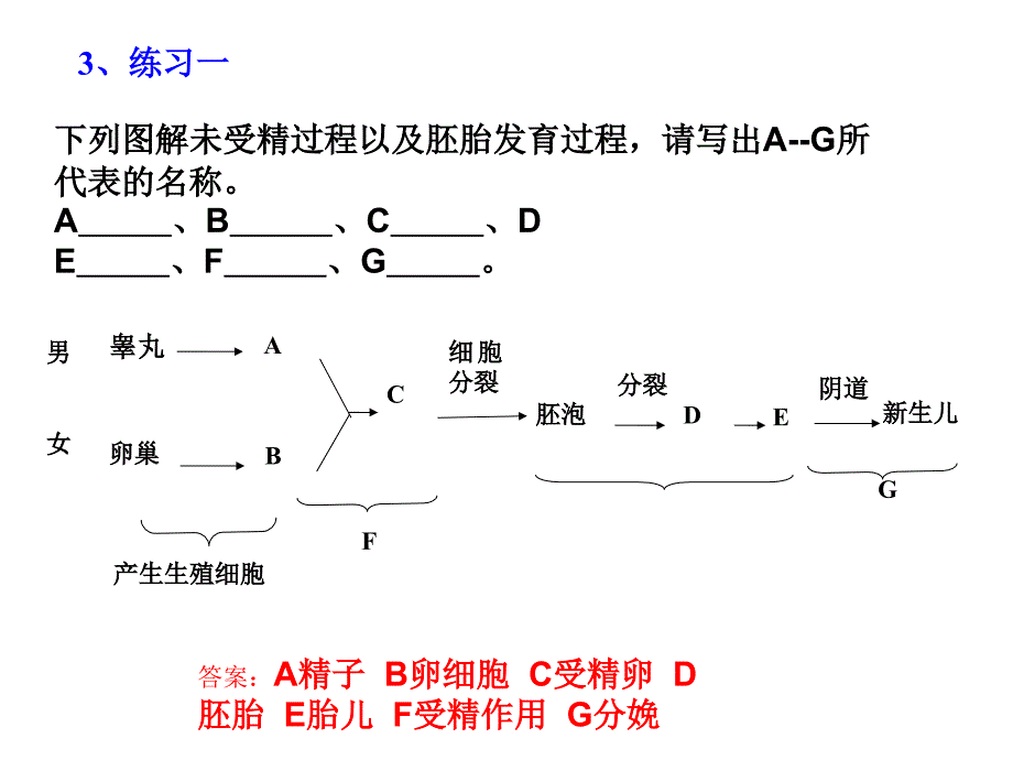 济南三十七中学魏茂山_第3页