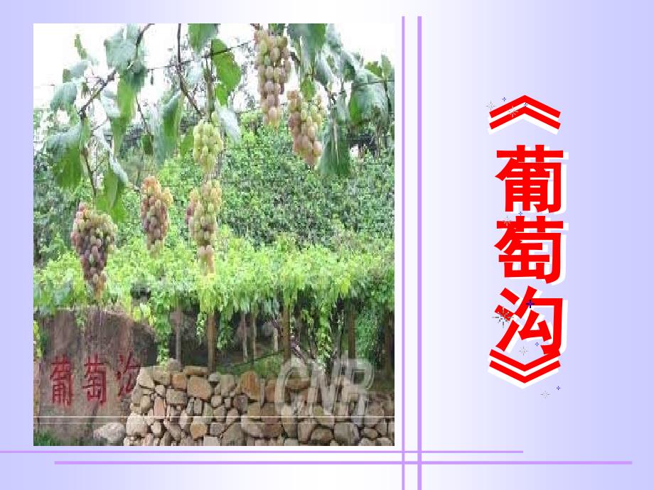 小学二年级语文上册-《葡萄沟》--课件(部编版)_第1页