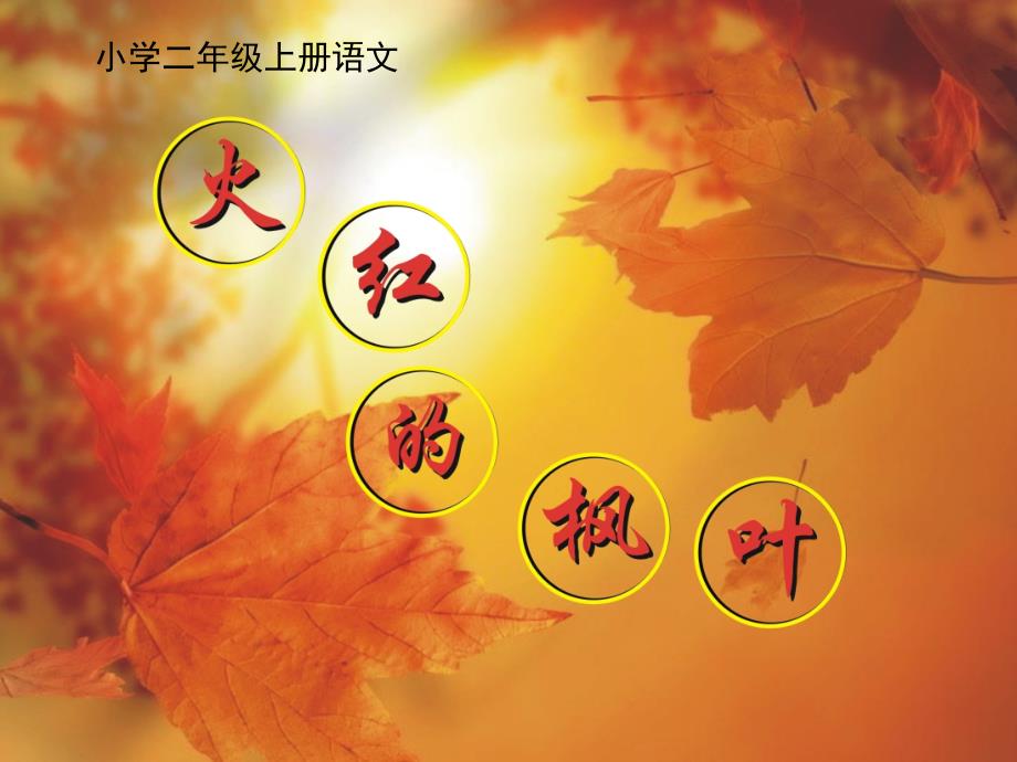 北京版语文二年级上册第4课《火红的枫叶》ppt课件3_第1页