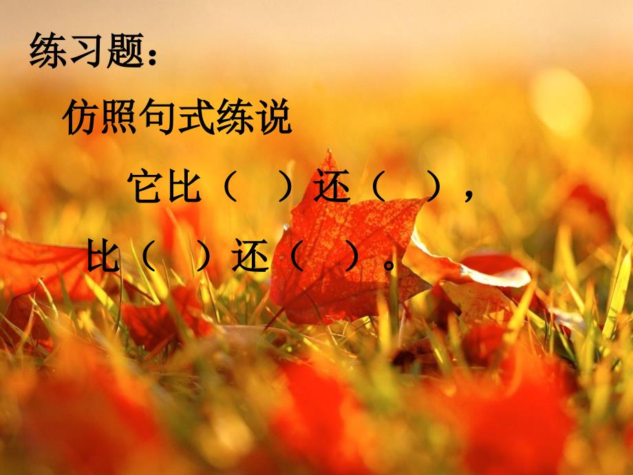 北京版语文二年级上册第4课《火红的枫叶》ppt课件3_第4页