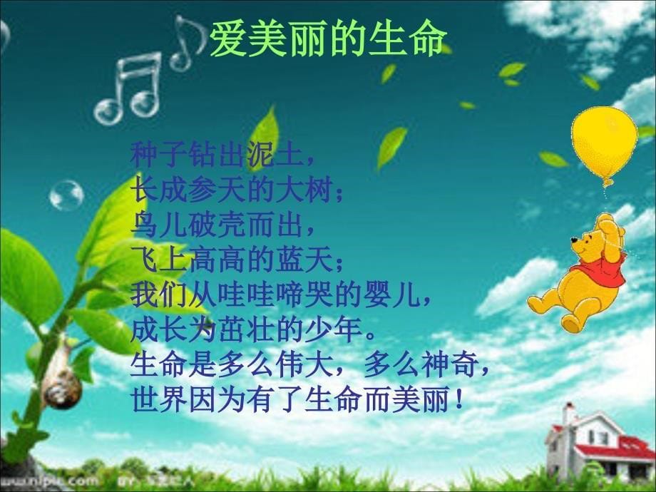 《生命多么可贵》ppt课件_第5页