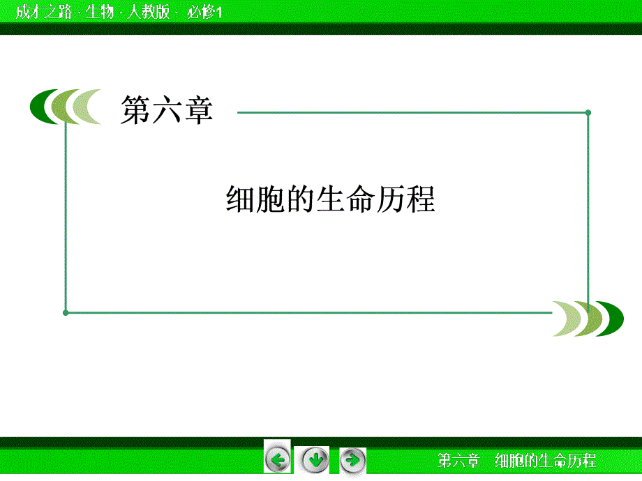 高一生物必修1第5、6单元课件：章末归纳整合6_第2页