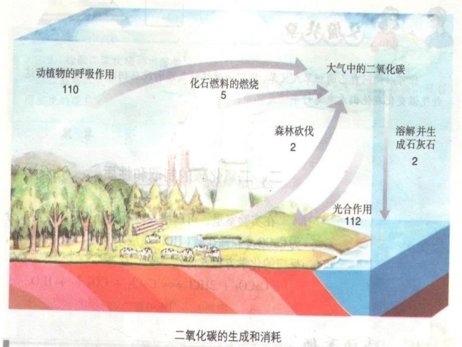 大自然中的二氧化碳--第一课时_第5页