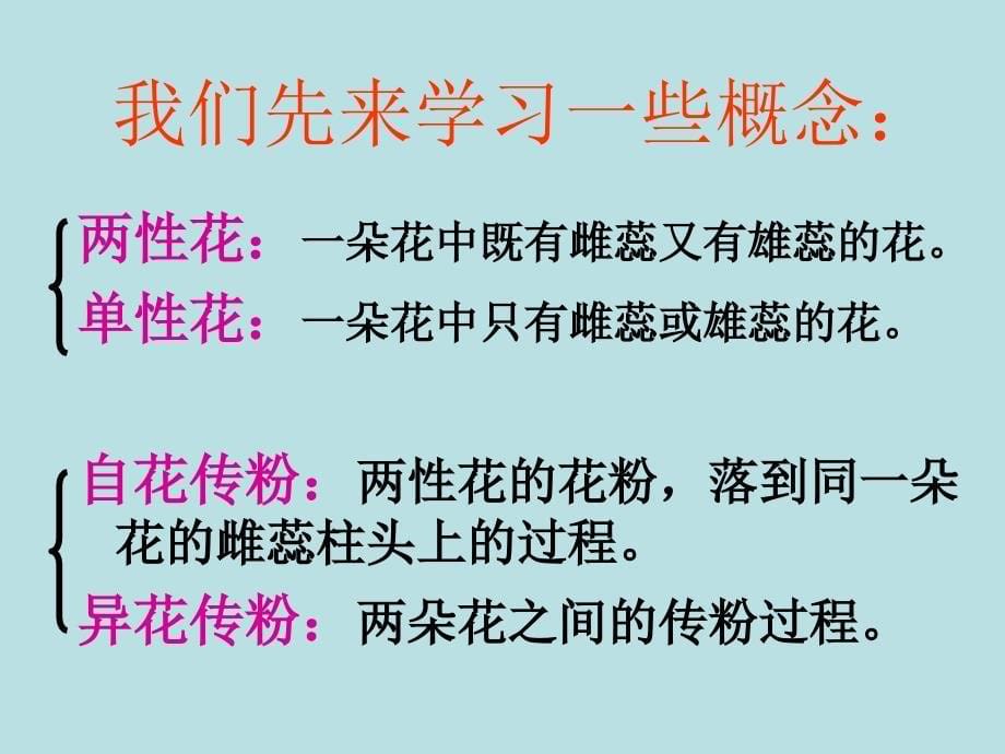 吉林省扶余一中高中生物必修二《孟德尔的豌豆杂交实验(一)》课件_第5页