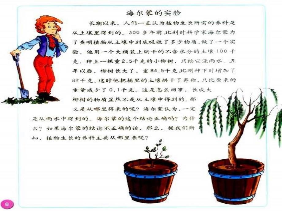 植物怎样生存五年级科学edu_第2页
