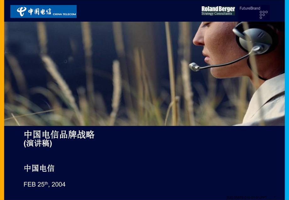 罗兰贝格中国电信品牌策划feb25三_第1页