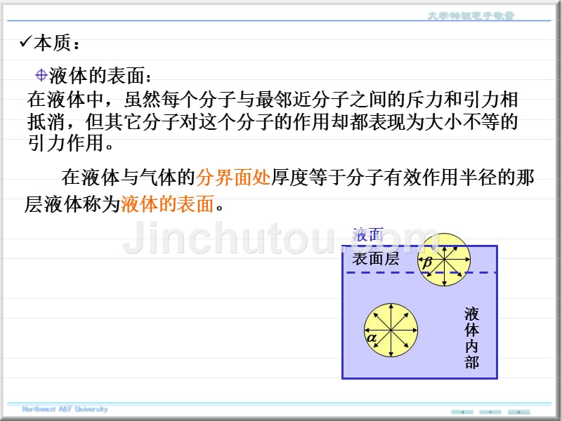 《液体表面的性质》ppt课件_第4页