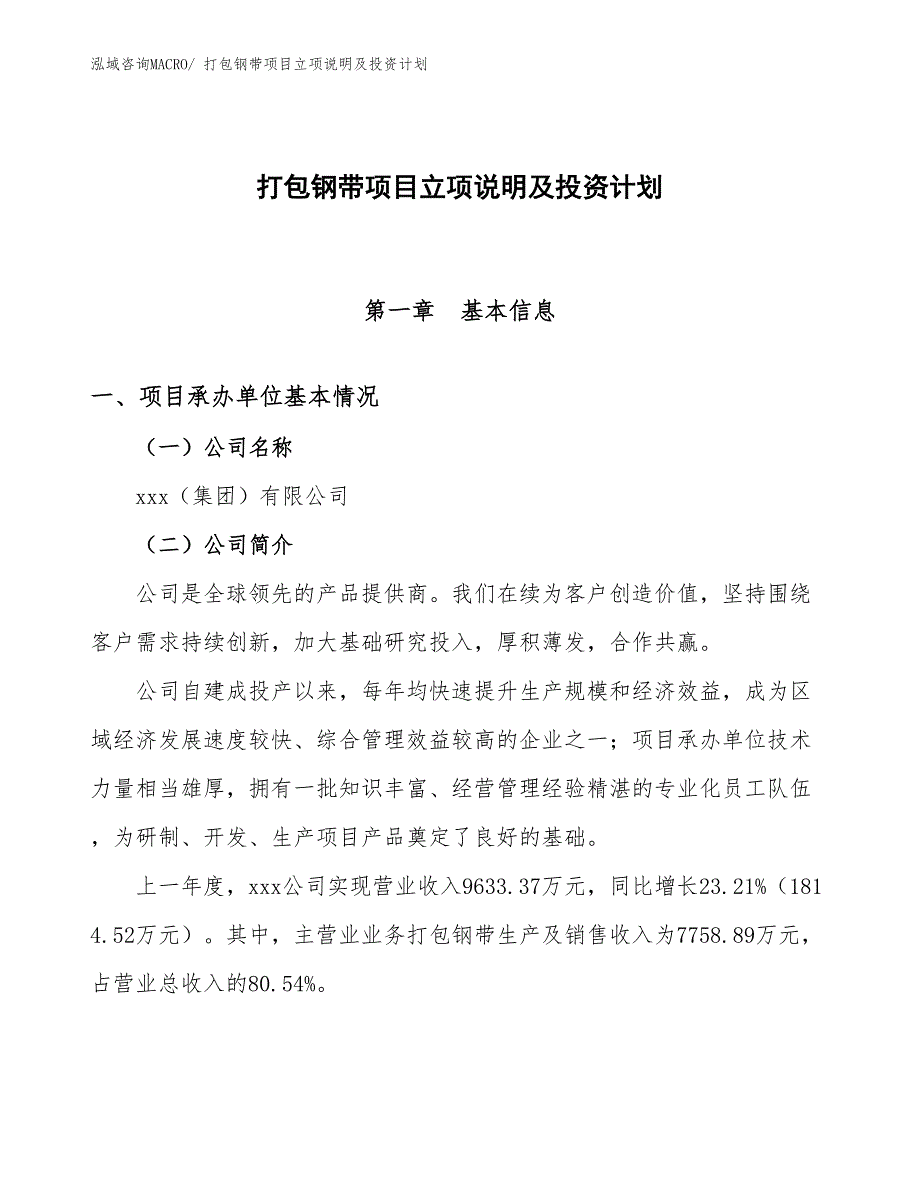 打包钢带项目立项说明及投资计划_第1页